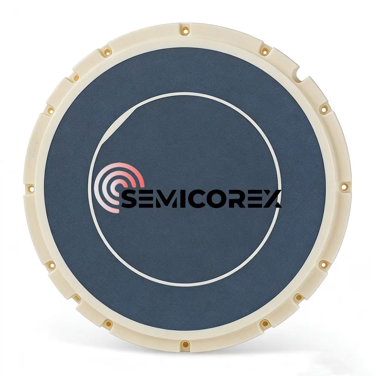 Chucks Vakum Seramik Alumina